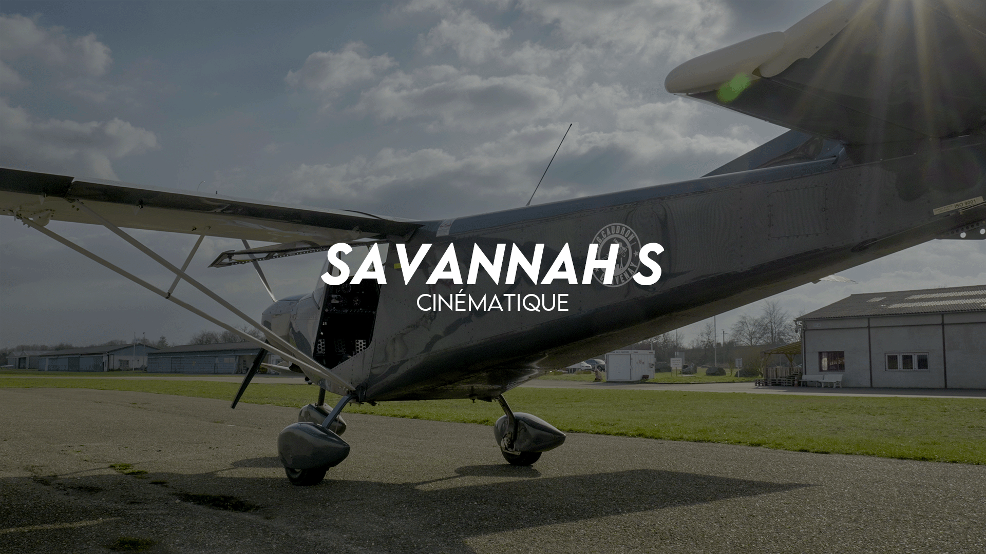 Savannah S